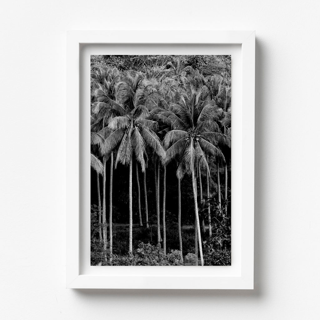 NEW LEISURE PIECE new-leisure-piece